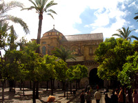 Th Citrus Orchard with the Mezquita at the Back