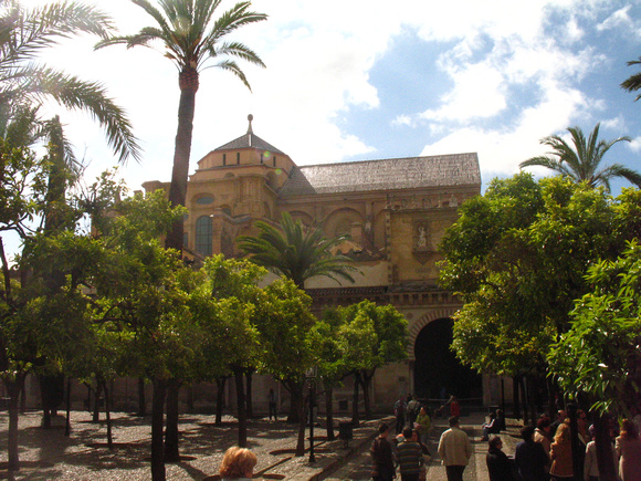 Th Citrus Orchard with the Mezquita at the Back