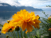 Montreux